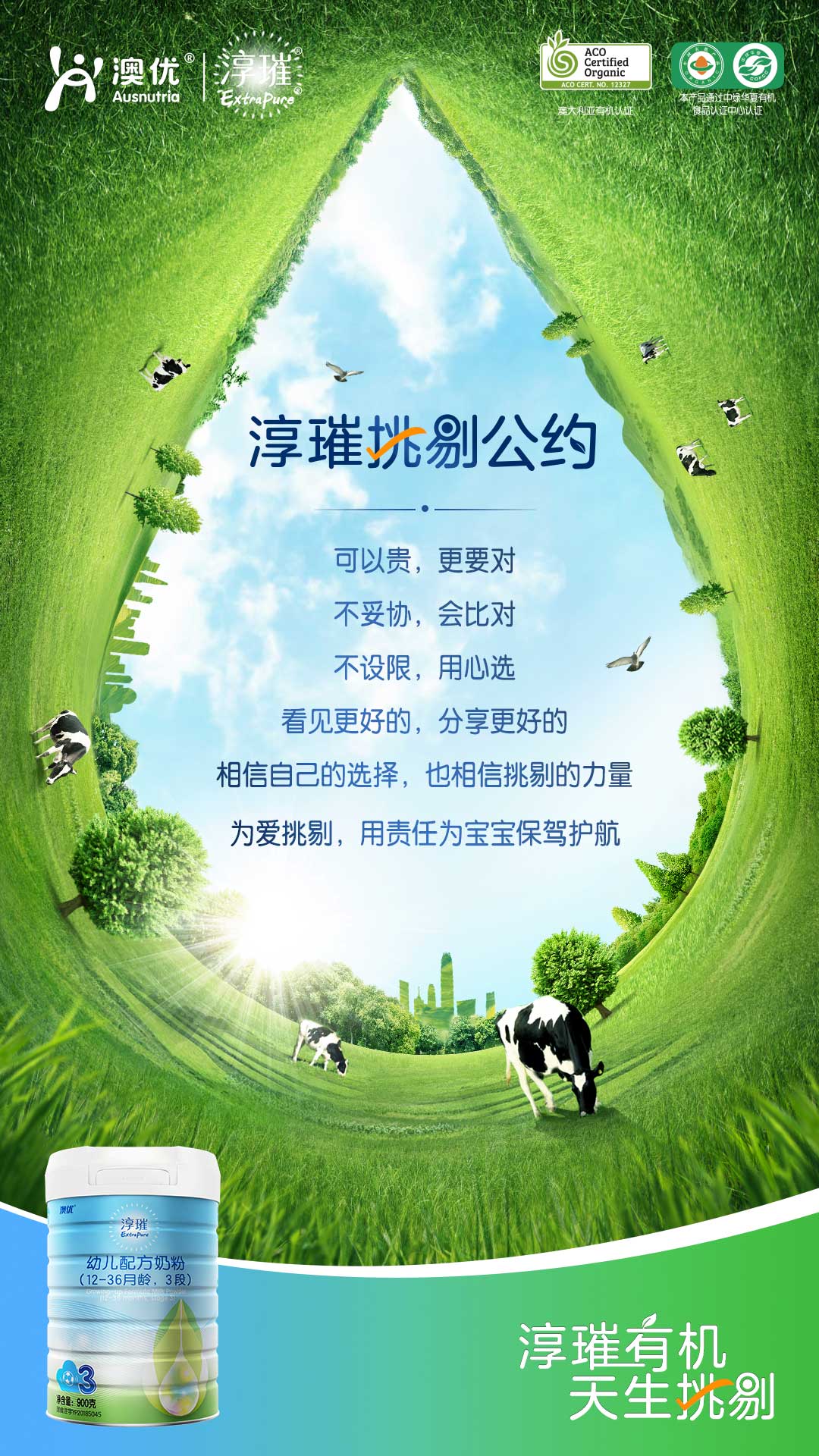 配圖2.jpg