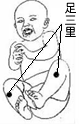 足三里
