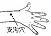 支溝穴